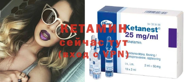 прущие грибы Каменка