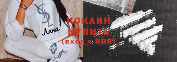прущие грибы Каменка