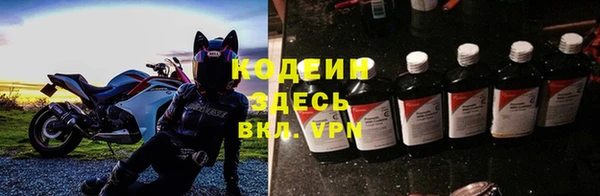 прущие грибы Каменка