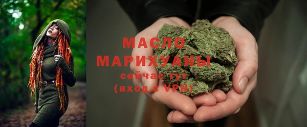 крисы Каменногорск