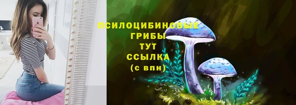 крисы Каменногорск