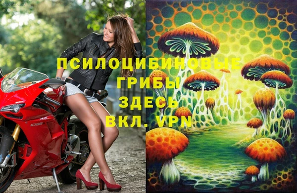 прущие грибы Каменка
