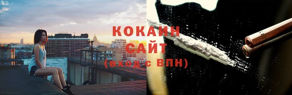прущие грибы Каменка
