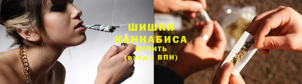 прущие грибы Каменка