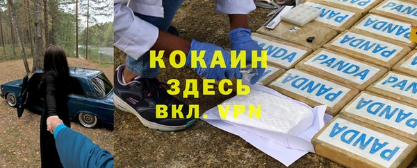 прущие грибы Каменка