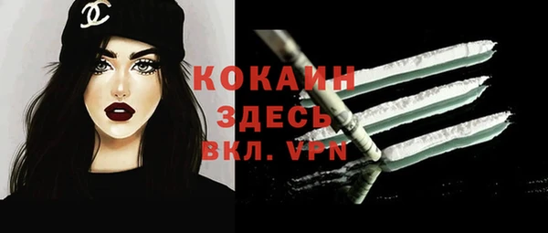 крисы Каменногорск