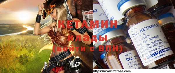 прущие грибы Каменка