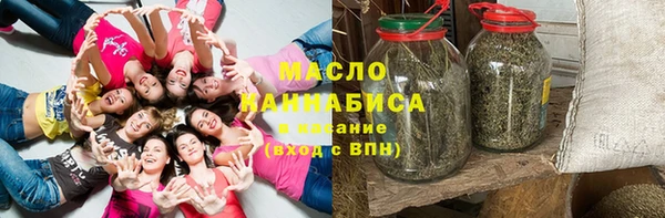 крисы Каменногорск