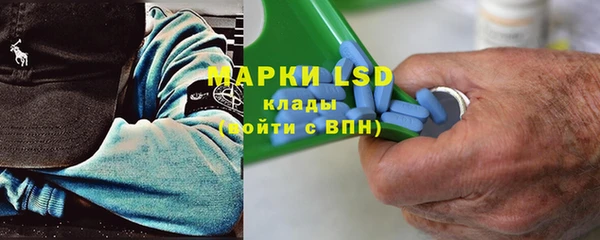 крисы Каменногорск
