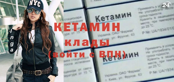 прущие грибы Каменка