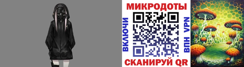 Купить  Завитинск  Галлюциногенные грибы GOLDEN TEACHER 